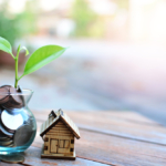 Money plant with a small home next to it