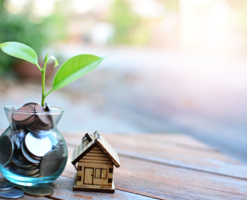 Money plant with a small home next to it